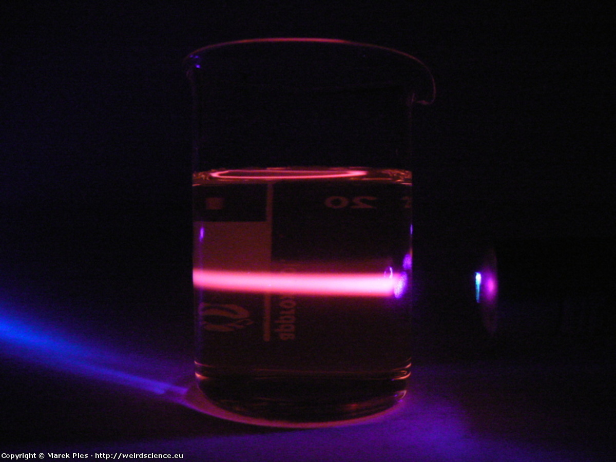 Ilustracja do artykułu "Fluorescencja chlorofilu"