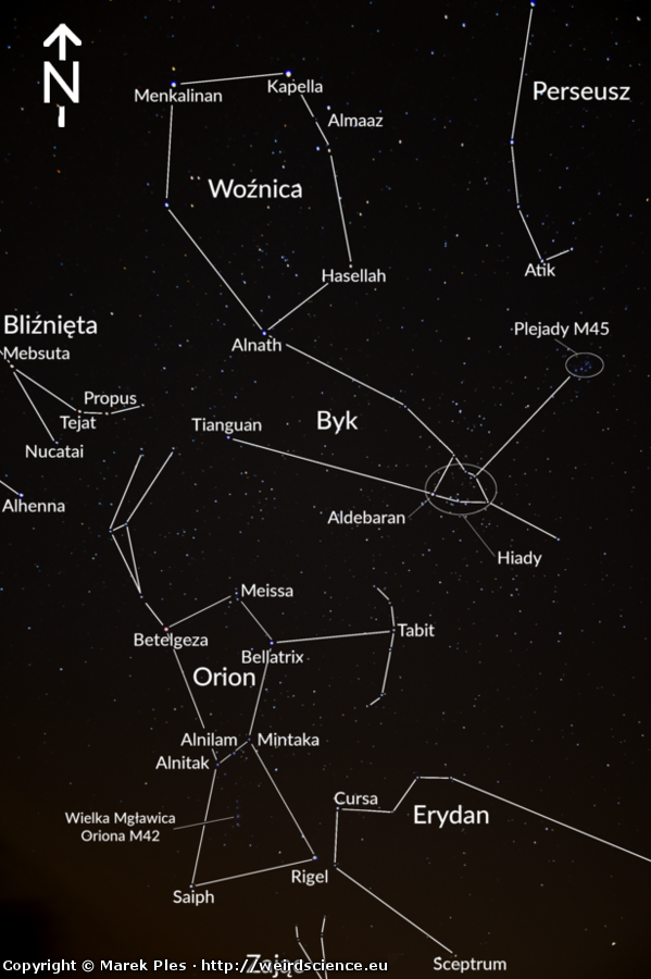 Ilustracja do artykułu "M42 i M43 - Wielka Mgławica Oriona, Rybi Pysk i Mgławica de Mairana"