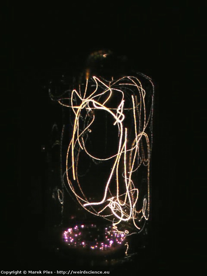 Ilustracja do artykułu "Ciepłe światło – spalanie bez płomienia i świetliki in vitro"