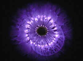 Ilustracja: 'aura' kwiatu stokrotki